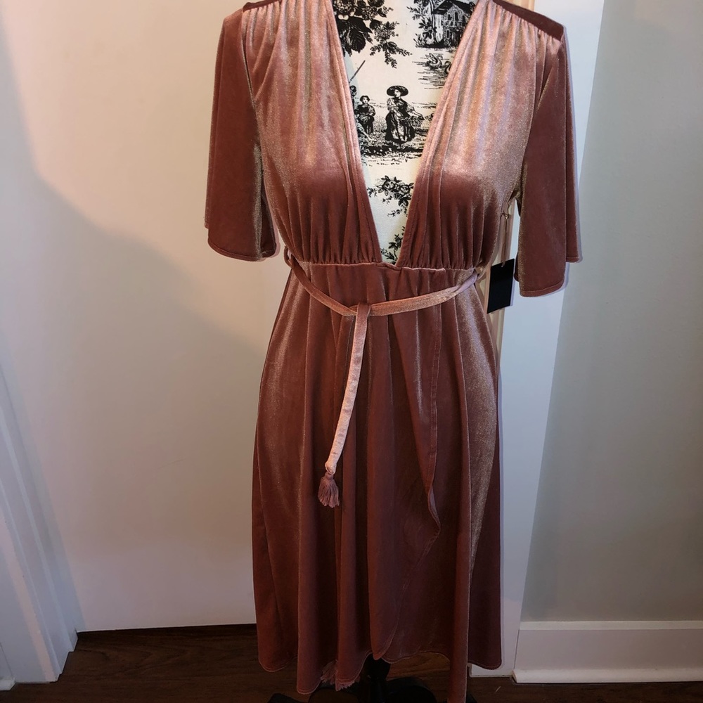 Forever 21 NWOT velvet plunge wrap dress!